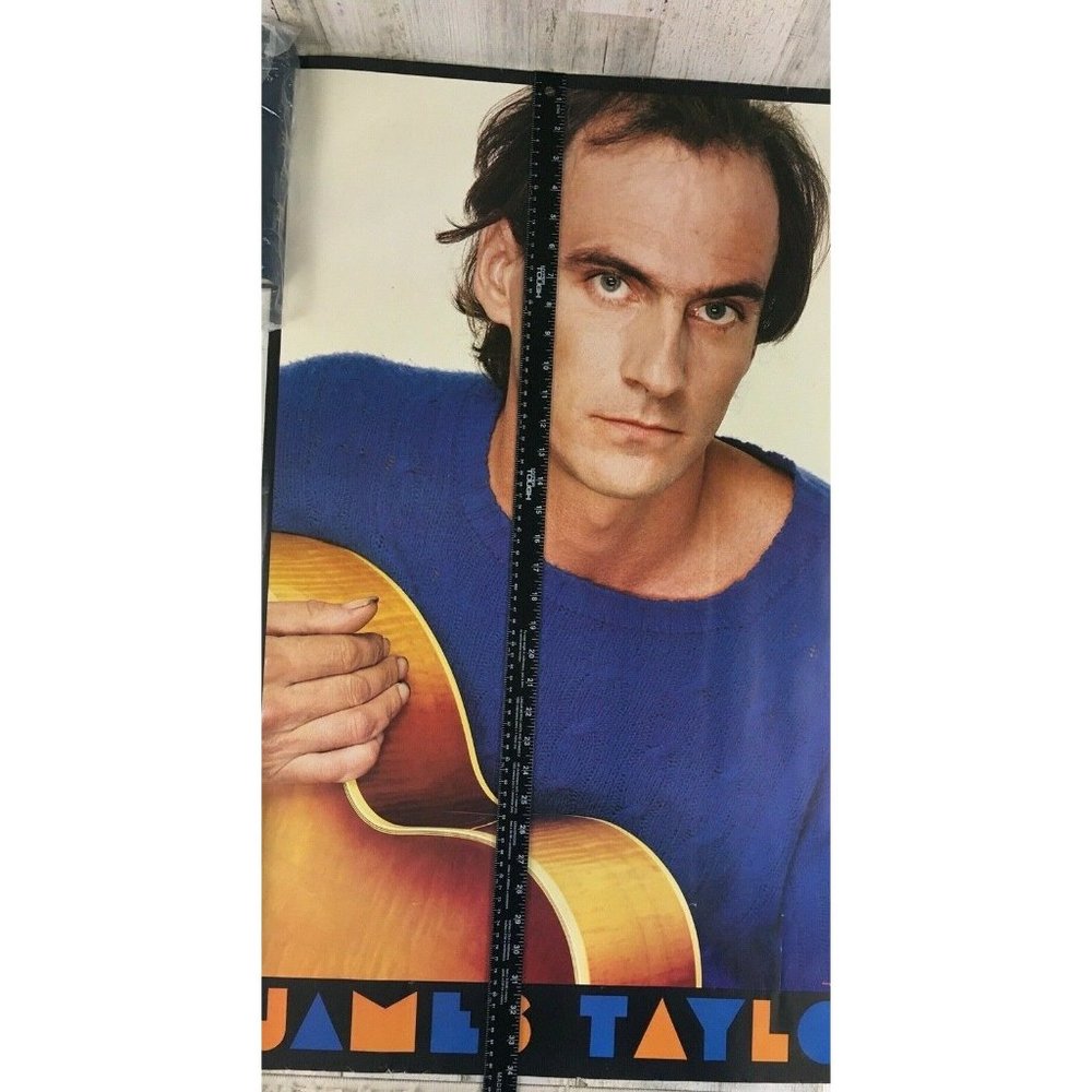Vtg 1981 James Taylor Record Store Promo Poster Dad Loves His Work - Picture 12 of 12